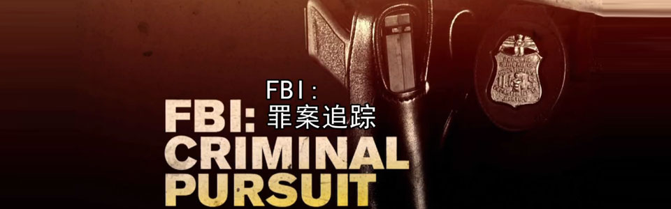 fbi:罪案追踪